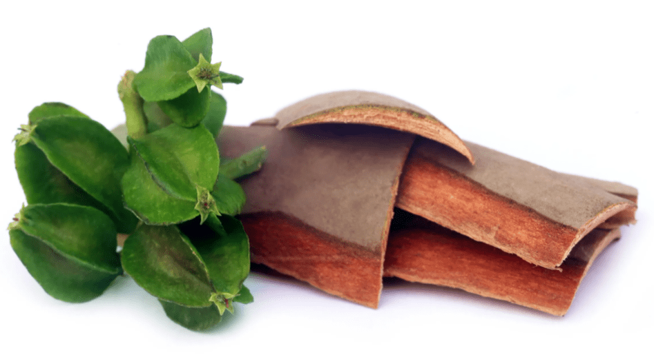 Arjuna bark as part of tonerine